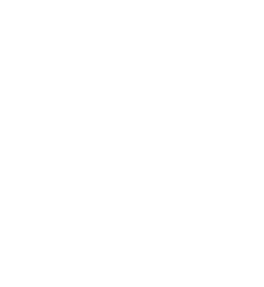 Toirot