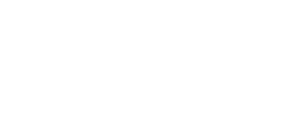 УЛЗ Финанс